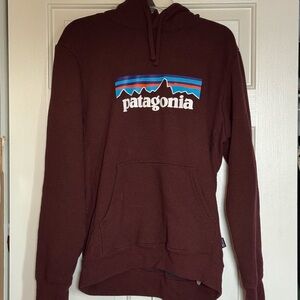 Patagonia Hoodie